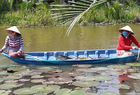 “Model of water filtration using aquatic system (water lily)" training course in Tra Vinh