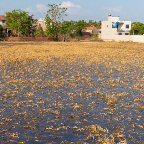 Hậu quả sau bão số 3